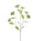 12 Pack: 29.75" White Queen Anne's Lace Stem by Ashland®